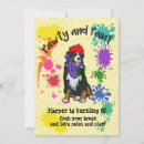 Recherche de anniversaire chien montagne bernese cartes invitations Animal