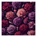 Recherche de oeillets posters Carnation