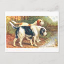 Recherche de levrier cartes postales Chiot