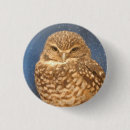 Recherche de hiboux badges Pour enfants
