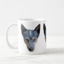 Recherche de heeler tasses Animal familier