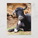 Recherche de goat posters Cute