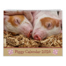 Recherche de porc rose bureau fournitures Porcelet