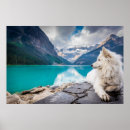 Recherche de loup et lac posters Loups