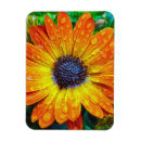 Recherche de grandes fleurs magnets Bleu