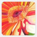 Recherche de gerbera rouge autocollants Floral