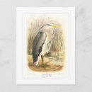 Recherche de heron cartes postales Vintage