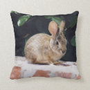 Recherche de lièvre sauvage coussins Animal