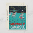 Recherche de camargue cartes postales Nature