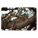 Recherche de notre arbre magnets Amour