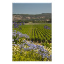 Recherche de vignoble photographie Cave