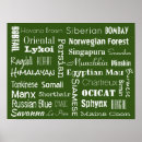 Recherche de races de chat posters Animaux de compagnie