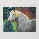 Recherche de attelage cartes postales Chevaux