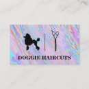 Recherche de caniches cartes visite Dogs