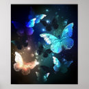 Recherche de lucioles posters Brille