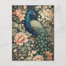 Recherche de beau paon cartes postales Animal