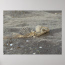 Recherche de tête de mort art Squelette