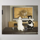 Recherche de nourriture et boisson posters Humour