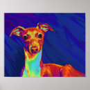 Recherche de levriers posters Portrait