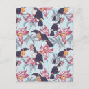 Recherche de toucans cartes postales Paradis