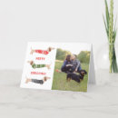 Recherche de chiot teckel vœux cartes Drôle