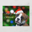 Recherche de boxer christmas vœux cartes Xmas