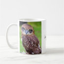 Recherche de hiboux verres tasses Café