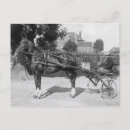 Recherche de trot cartes postales Chevaux