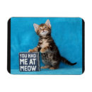 Recherche de de chaton magnets Pour elle