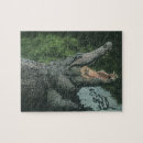Recherche de crocodile puzzles Australie
