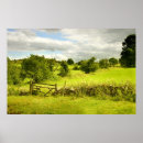 Recherche de fine photographie art Vert
