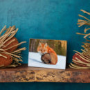 Recherche de renard plaques Hiver