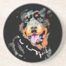 Recherche de rottweiler dessous de verres Chien