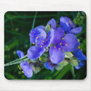 Recherche de plantation tapis souris Pour lui