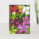 Recherche de orchidée cattleya vœux cartes Orchidées