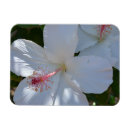 Recherche de parfum magnets Fleurs