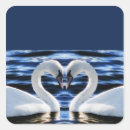 Recherche de coeur des cygnes autocollants Symbole