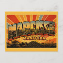 Recherche de narcisses cartes postales Nature