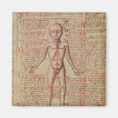 Recherche de anatomie magnets Humain