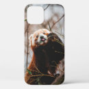 Recherche de koala ours iphone coques Nature