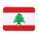 Recherche de orienté magnets Pour eux