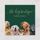 Recherche de canines cartes visite Chien