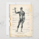 Recherche de anatomique invitations Anatomie