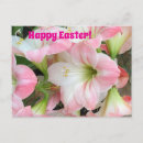 Recherche de salutations de pâques cartes postales Rose
