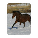 Recherche de équestre vœux cartes Exécution