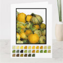 Recherche de gourmandise cartes postales Orange