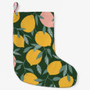 Recherche de citron chaussette de noël Orange