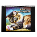 Recherche de compagnon animal bureau fournitures Félin