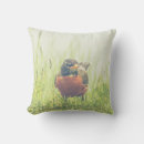 Recherche de américain coussins extérieur Oiseaux