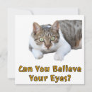 Recherche de chat kawaii vœux cartes Félin